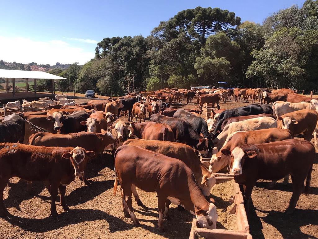 WhatsApp Image 2020-01-20 at 18.01.01 (1).jpeg