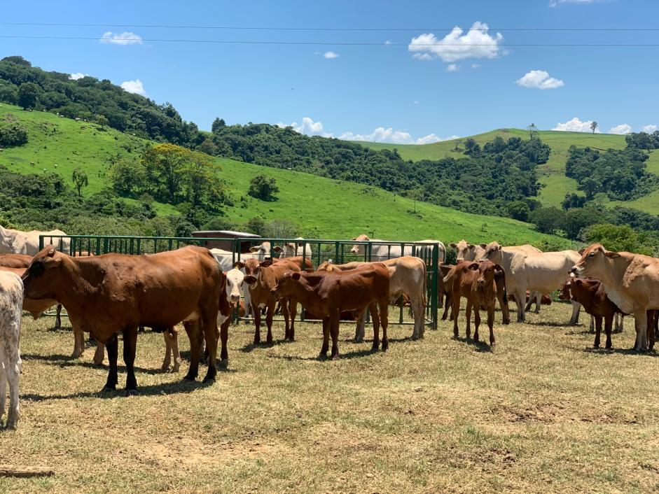 WhatsApp Image 2019-12-26 at 22.38.26 (1).jpeg