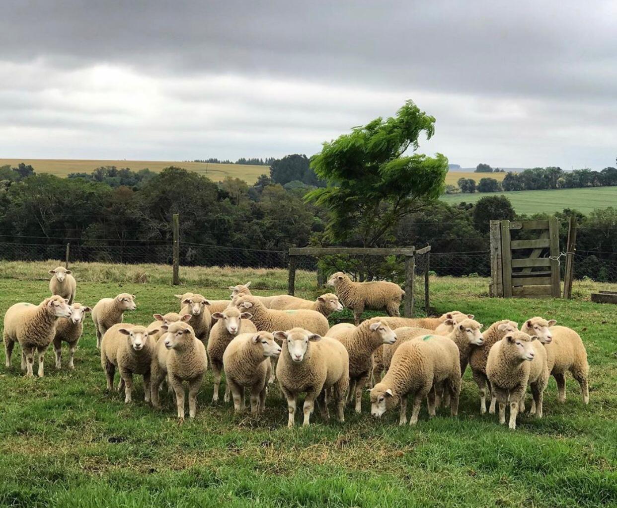 WhatsApp Image 2020-01-09 at 18.42.55.jpeg