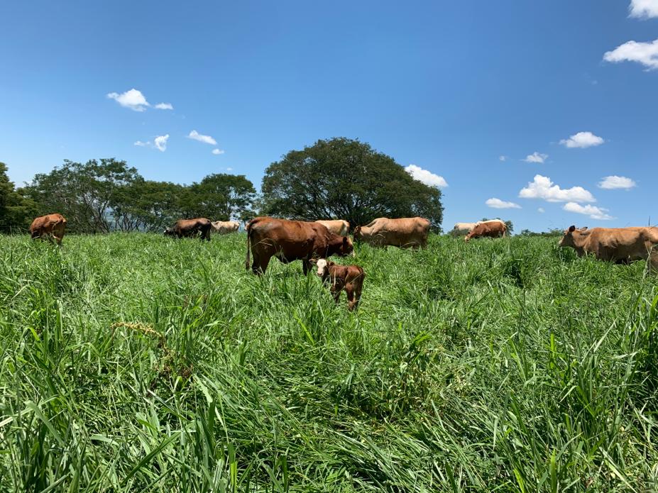 WhatsApp Image 2019-12-26 at 22.37.56 (1).jpeg