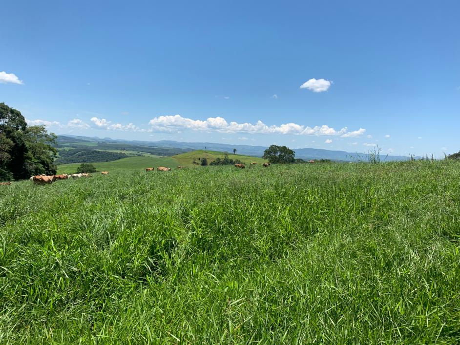 WhatsApp Image 2019-12-26 at 22.37.05 (3).jpeg