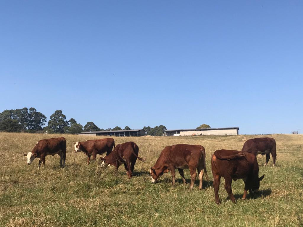 WhatsApp Image 2020-01-20 at 18.01.01 (2).jpeg