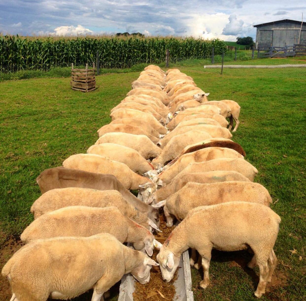 WhatsApp Image 2020-01-09 at 18.42.54.jpeg