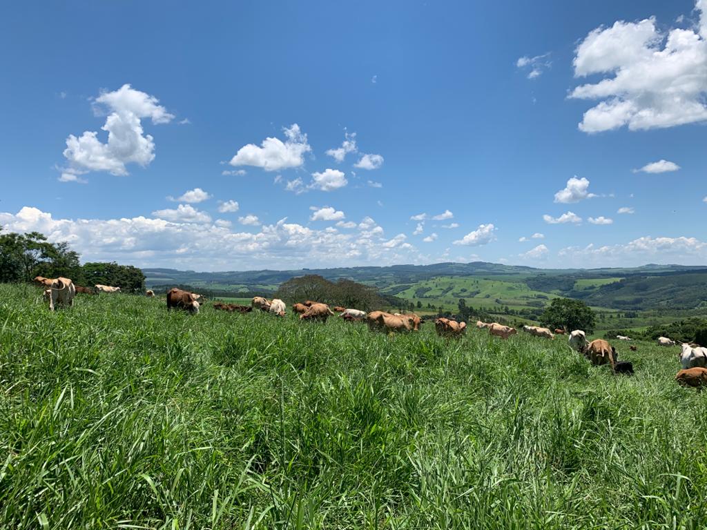 WhatsApp Image 2019-12-26 at 22.37.57.jpeg