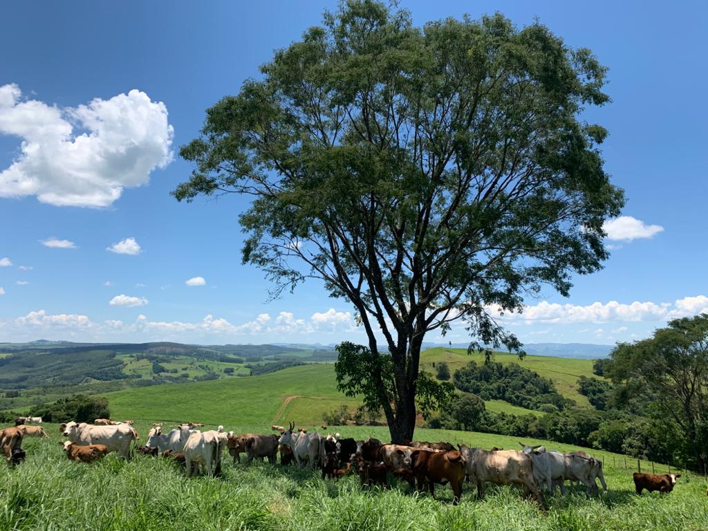 WhatsApp Image 2019-12-26 at 22.37.56 (2).jpeg