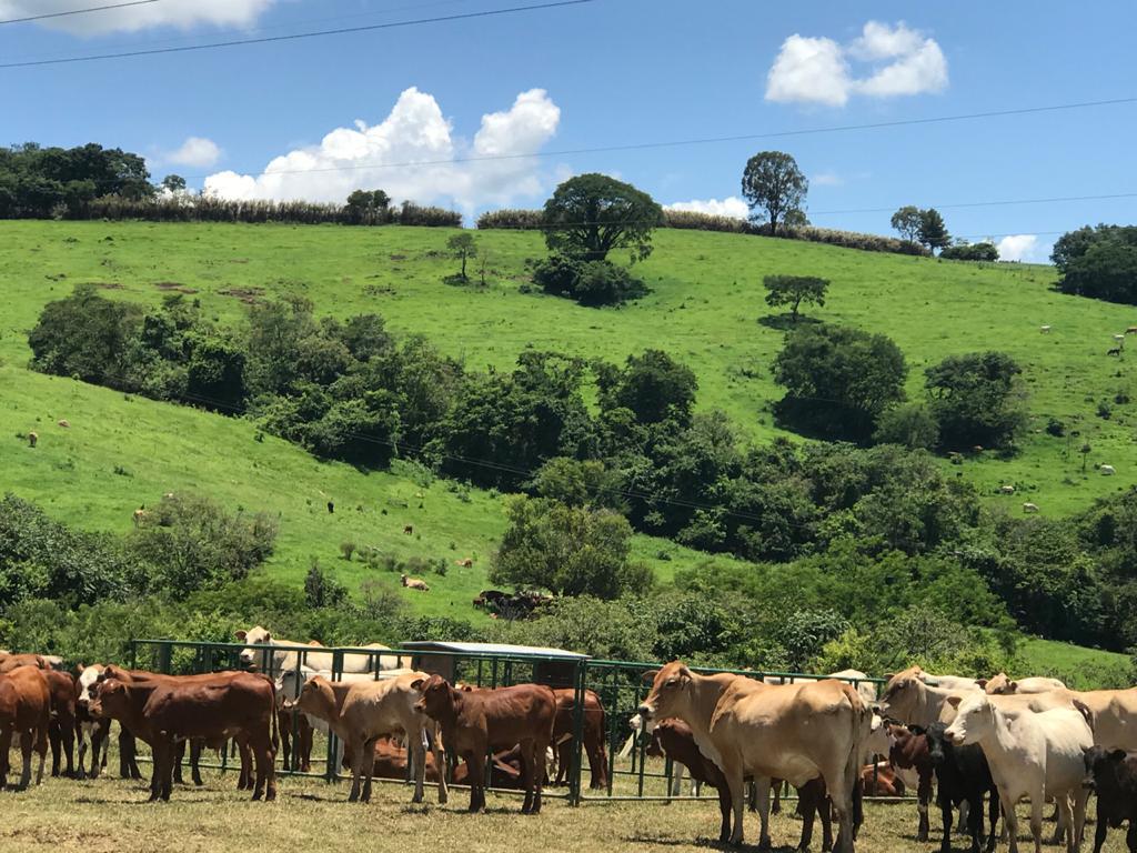 WhatsApp Image 2020-01-20 at 18.01.02.jpeg