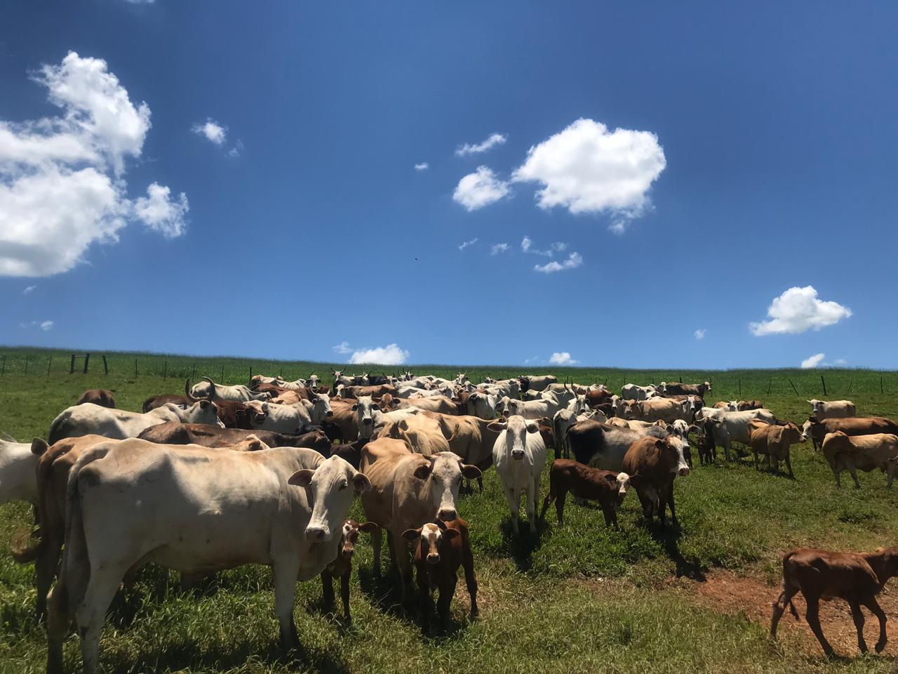 WhatsApp Image 2020-01-20 at 18.01.01.jpeg