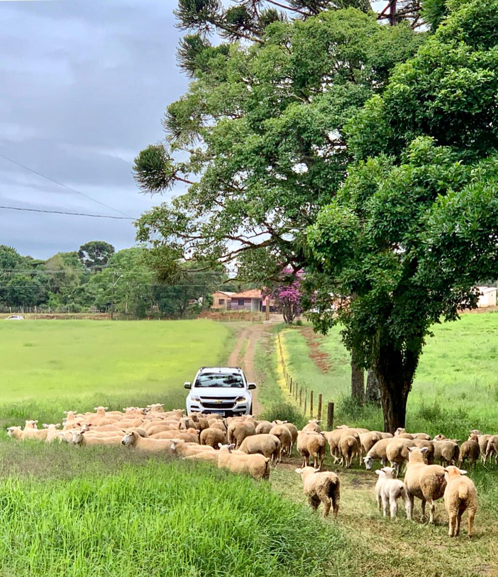 WhatsApp Image 2020-01-19 at 20.59.47.jpeg