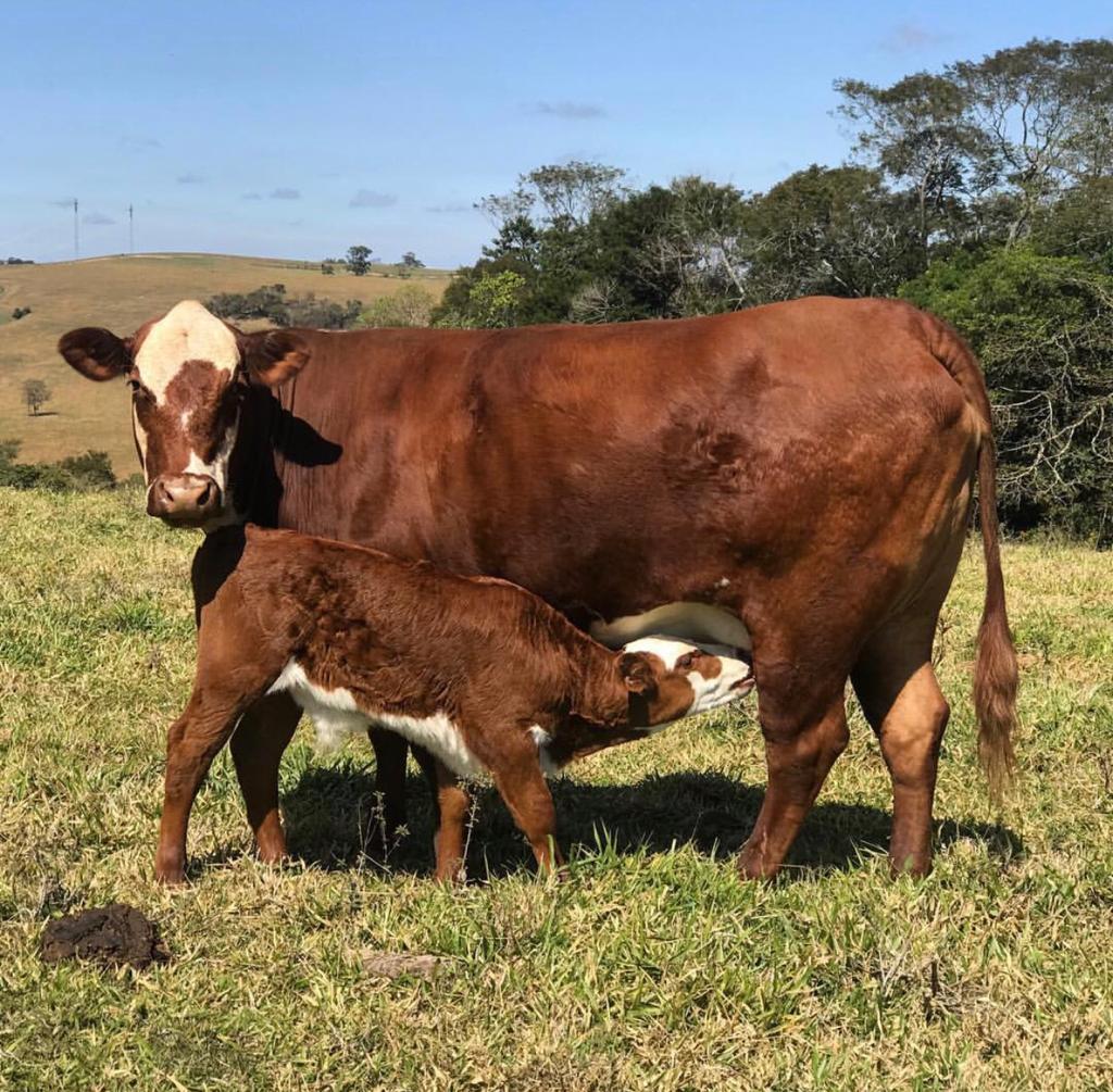 WhatsApp Image 2020-01-20 at 18.01.02 (1).jpeg